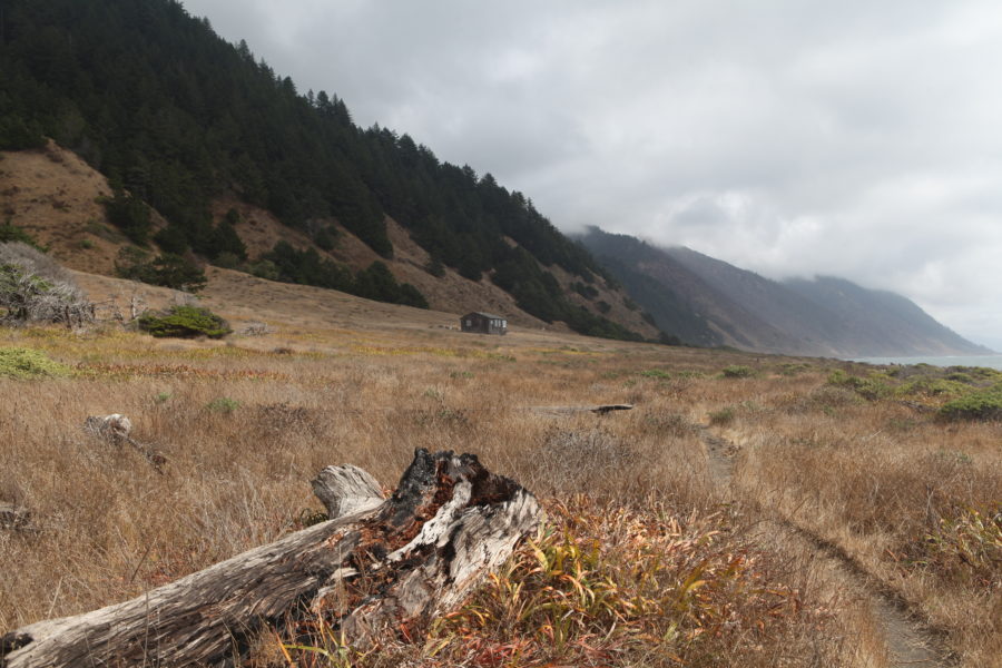 The Lost Coast Trail