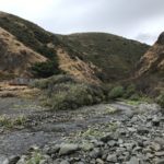 The Lost Coast Trail