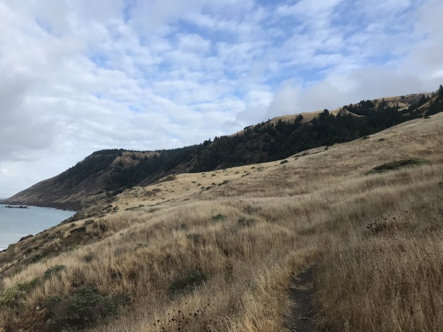The Lost Coast Trail