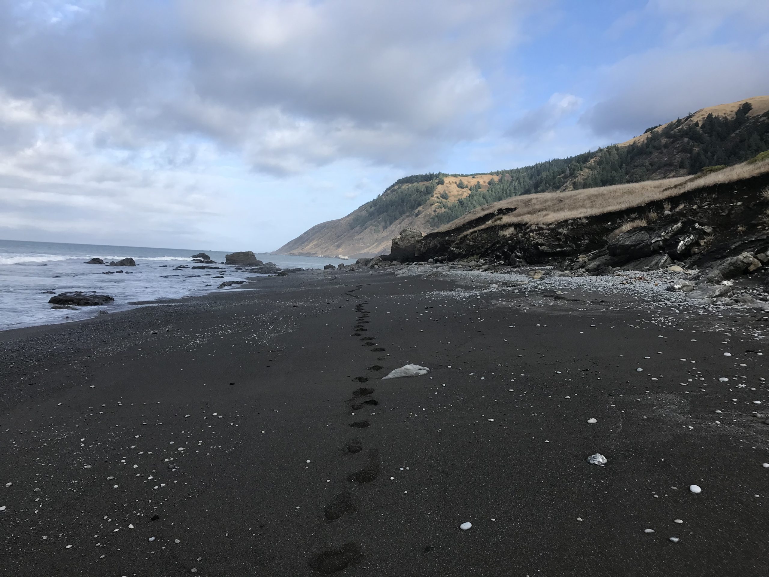 The Lost Coast Trail