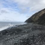 The Lost Coast Trail