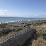 The Lost Coast Trail