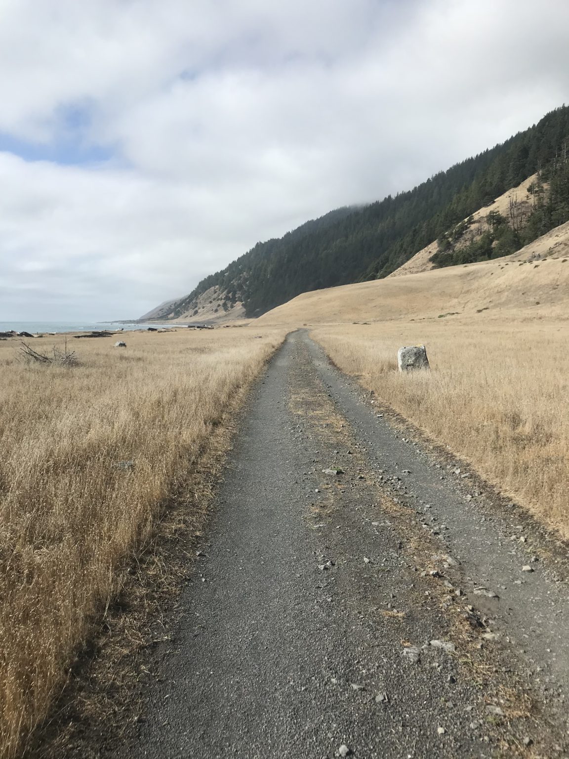 The Lost Coast Trail