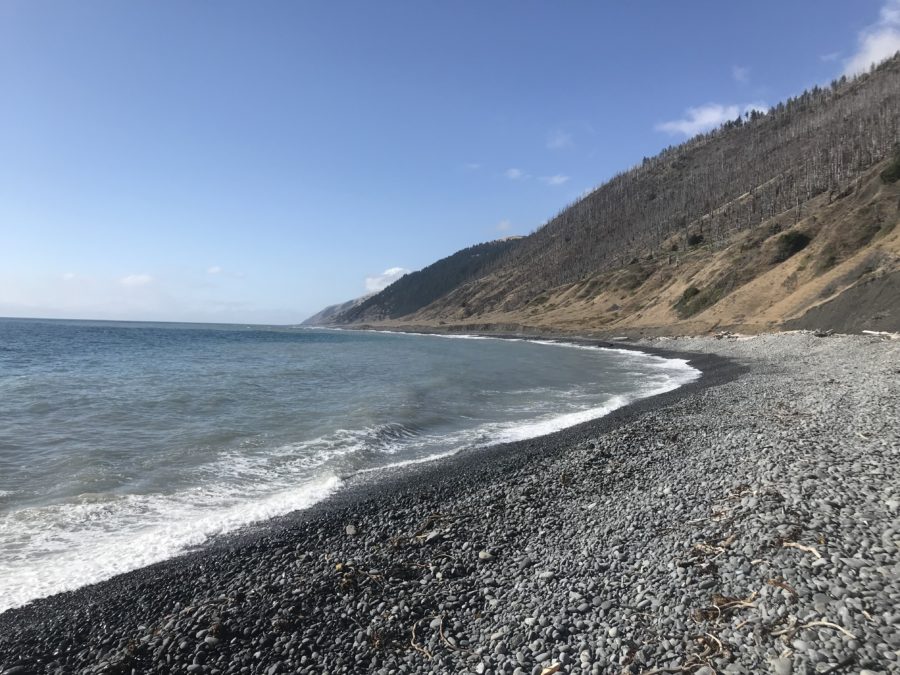 The Lost Coast Trail
