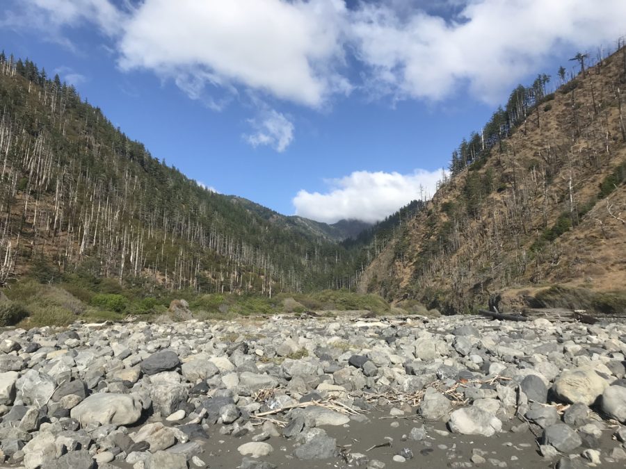 The Lost Coast Trail