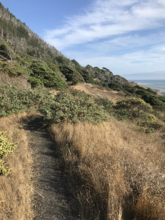 The Lost Coast Trail