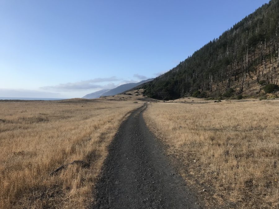 The Lost Coast Trail