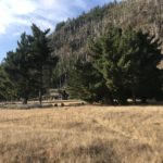 The Lost Coast Trail