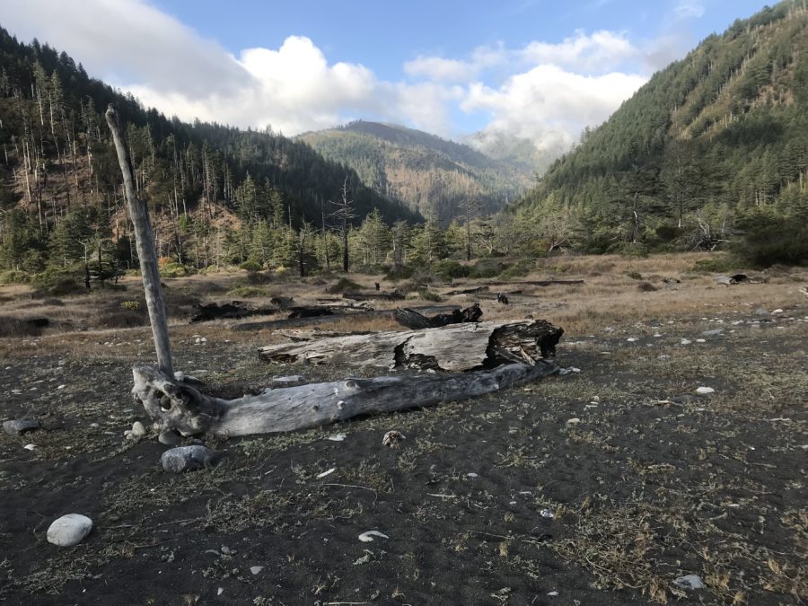 The Lost Coast Trail