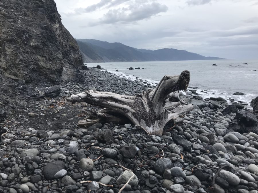 The Lost Coast Trail