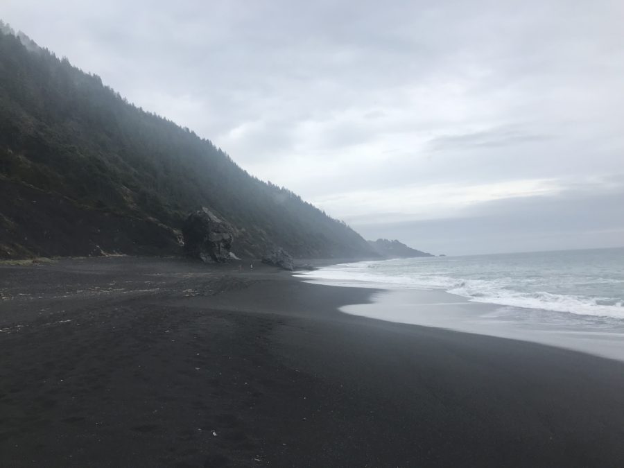 The Lost Coast Trail