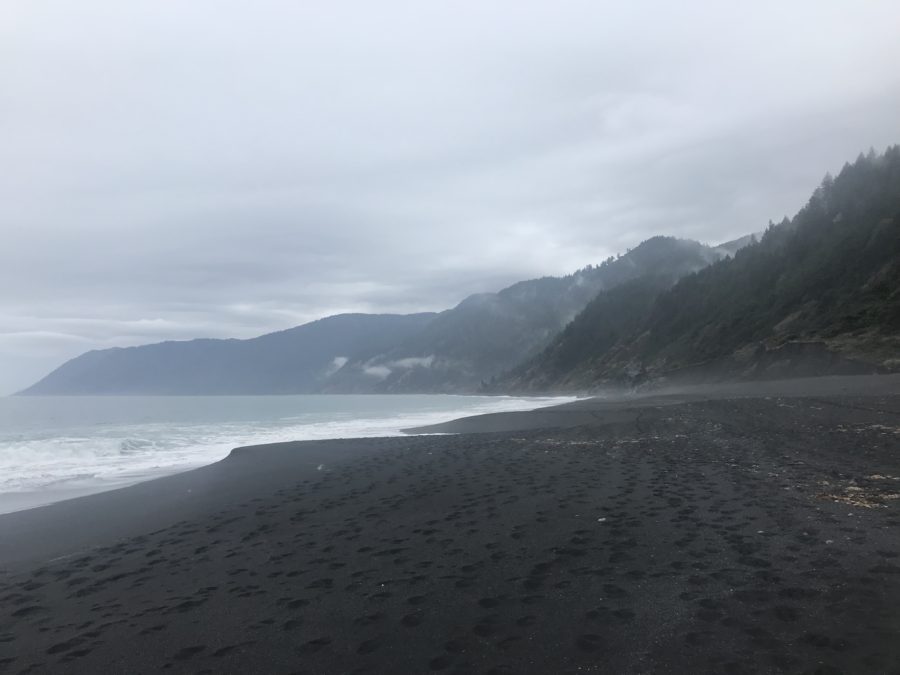The Lost Coast Trail